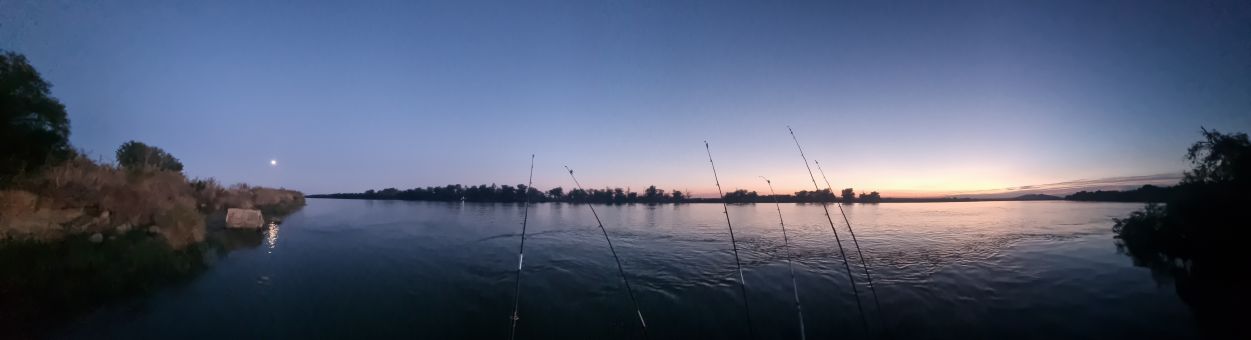 Delta of Danube #fishing #lzfro
